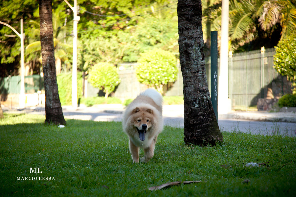 Pre-Wedding na Praia da Barra da Tijuca, Rio de Janeiro, RJ, por Márcio Lessa | Fotografia