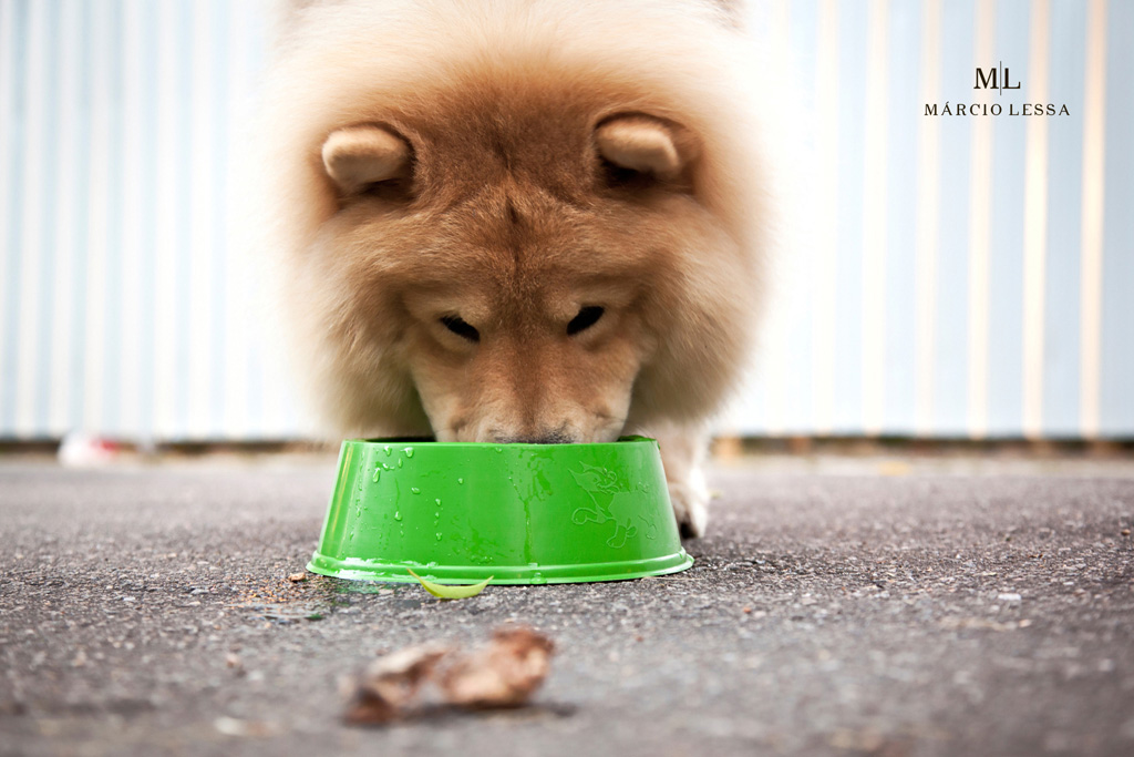 Pre-Wedding na Praia da Barra da Tijuca, Rio de Janeiro, RJ, por Márcio Lessa | Fotografia