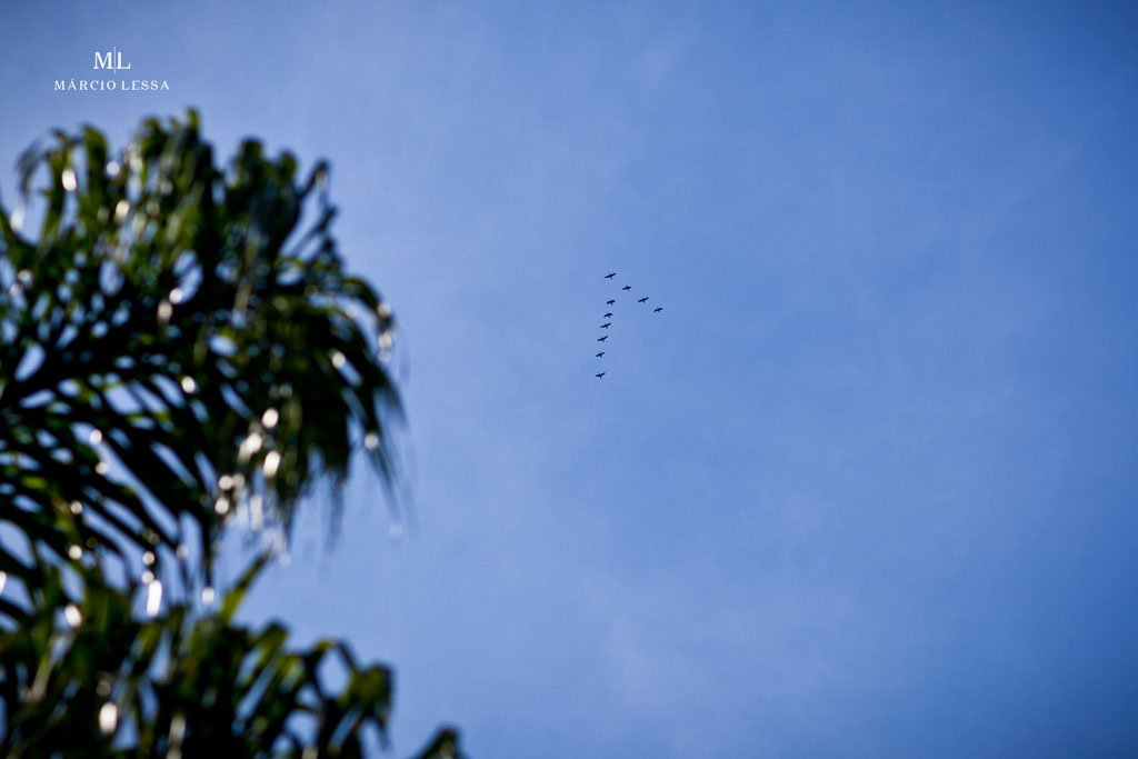 Pássaros em formação Delta no lindo céu azul | Pre-Wedding no Parque Penhasco Dois Irmãos, Leblon, Rio de Janeiro, RJ, por Márcio Lessa | Fotografia