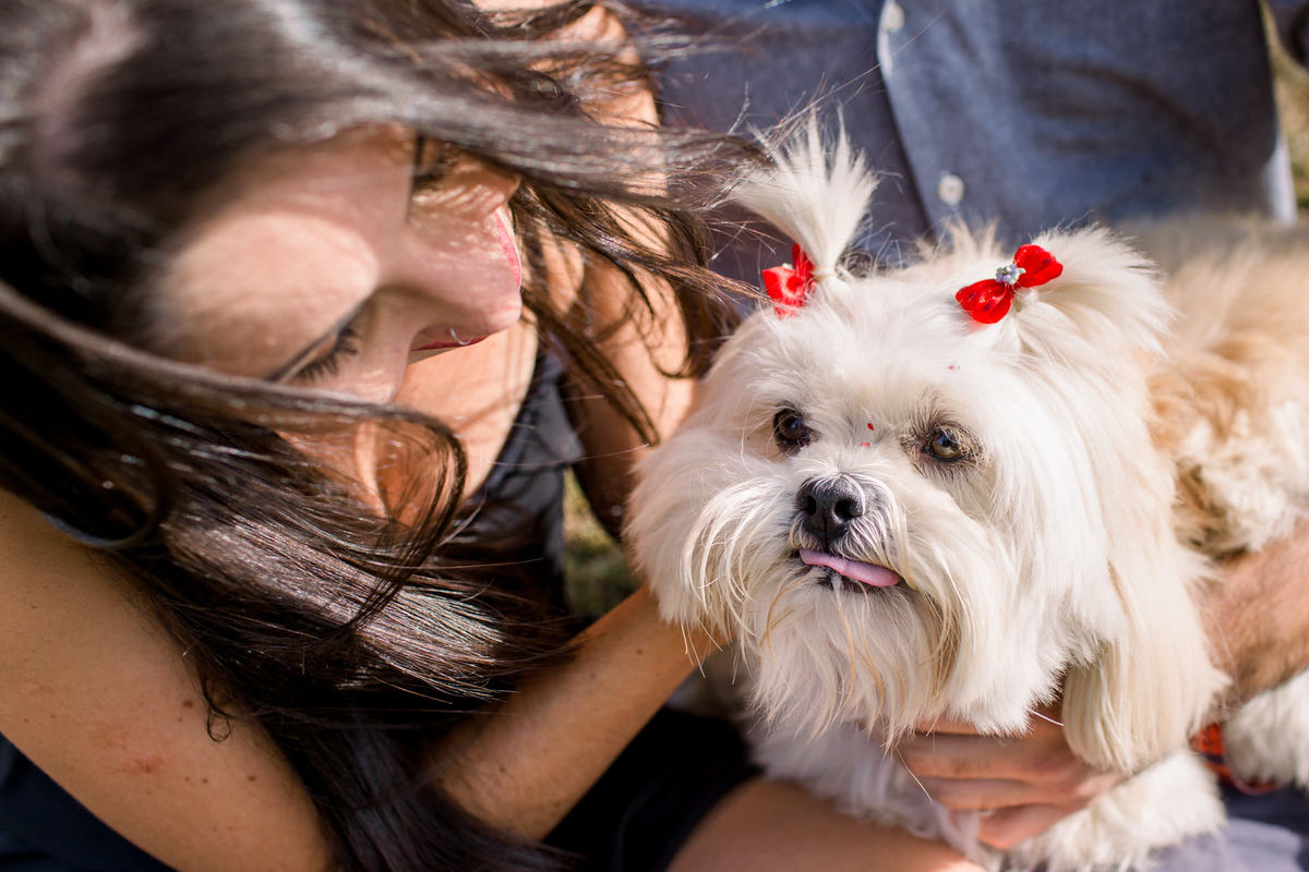 amor de cachorrinho peludo