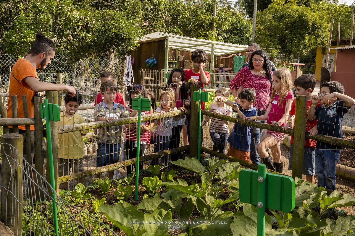 Aniversário infantil | Cia dos Bichos | 5 anos do Felipe
