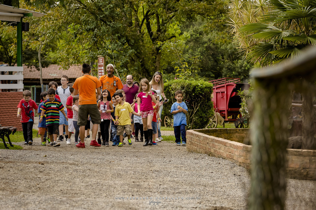Aniversário infantil | Cia dos Bichos | 5 anos do Felipe