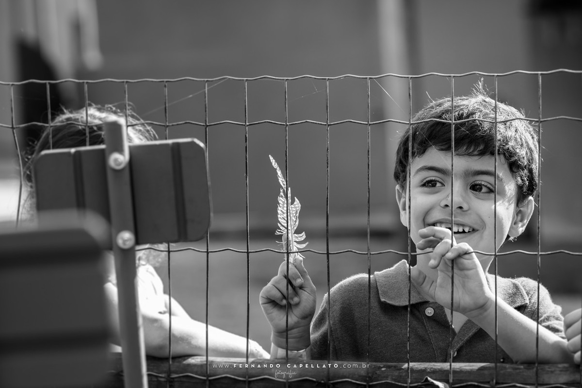 Aniversário infantil | Cia dos Bichos | 5 anos do Felipe