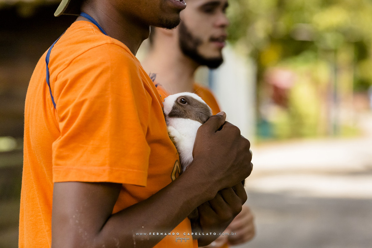 Aniversário infantil | Cia dos Bichos | 5 anos do Felipe