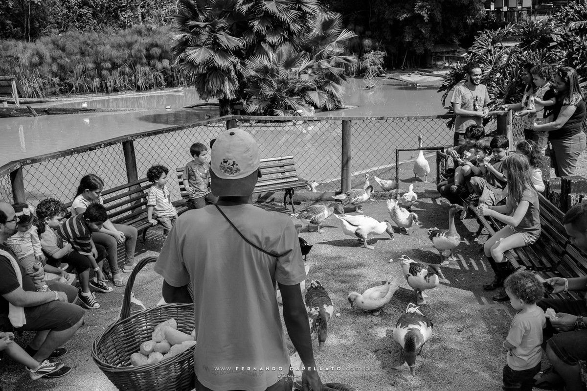 Aniversário infantil | Cia dos Bichos | 5 anos do Felipe