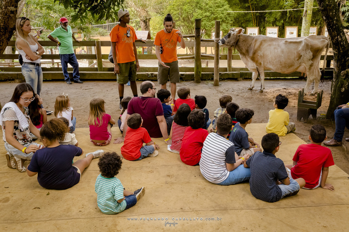 Aniversário infantil | Cia dos Bichos | 5 anos do Felipe