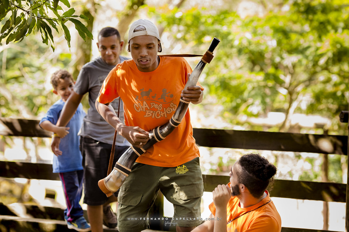 Aniversário infantil | Cia dos Bichos | 5 anos do Felipe
