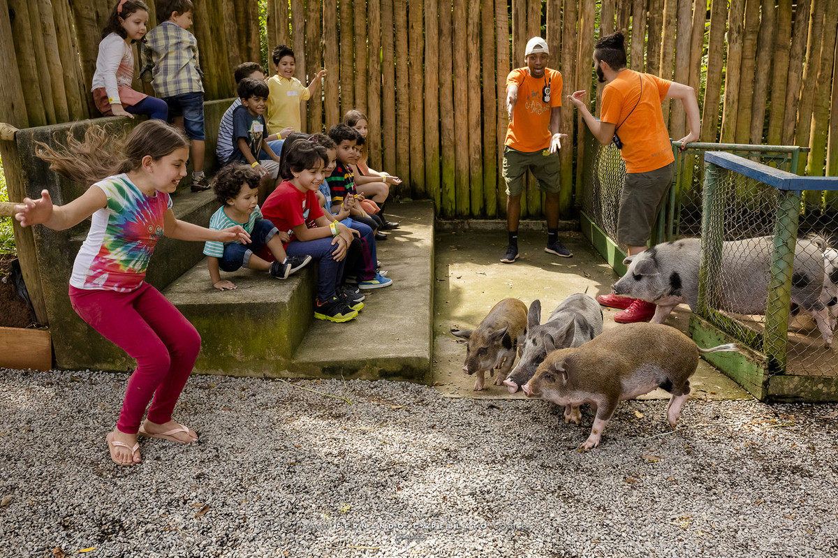 Aniversário infantil | Cia dos Bichos | 5 anos do Felipe
