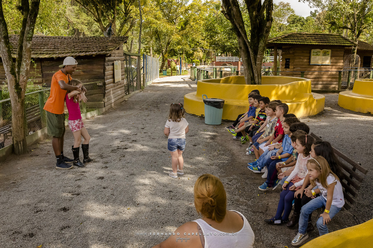 Aniversário infantil | Cia dos Bichos | 5 anos do Felipe