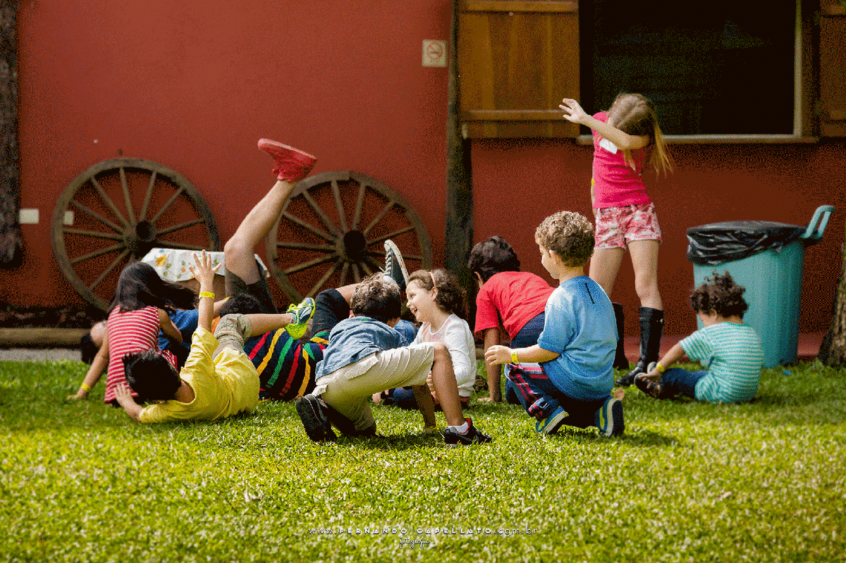 Aniversário infantil | Cia dos Bichos | 5 anos do Felipe
