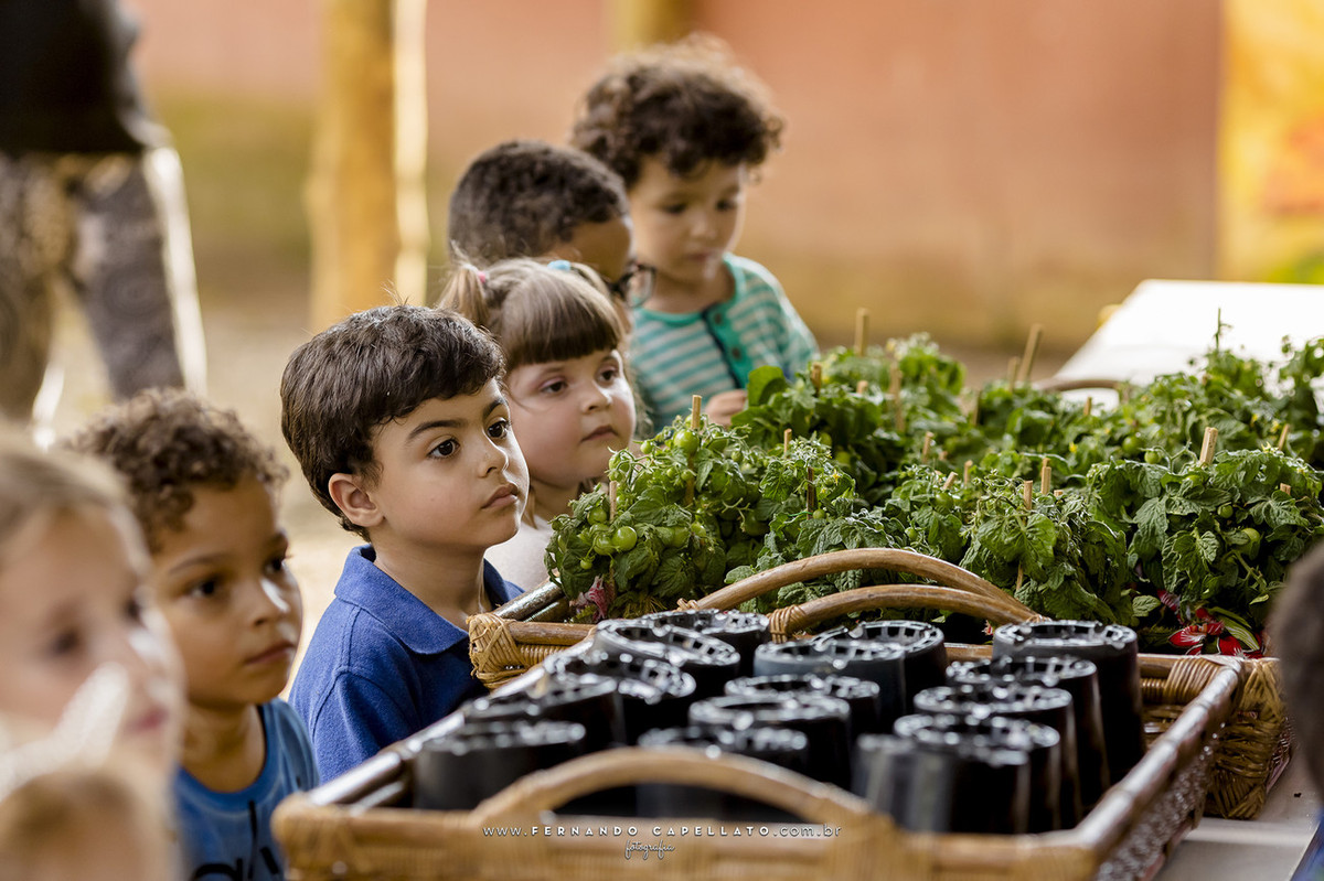Aniversário infantil | Cia dos Bichos | 5 anos do Felipe