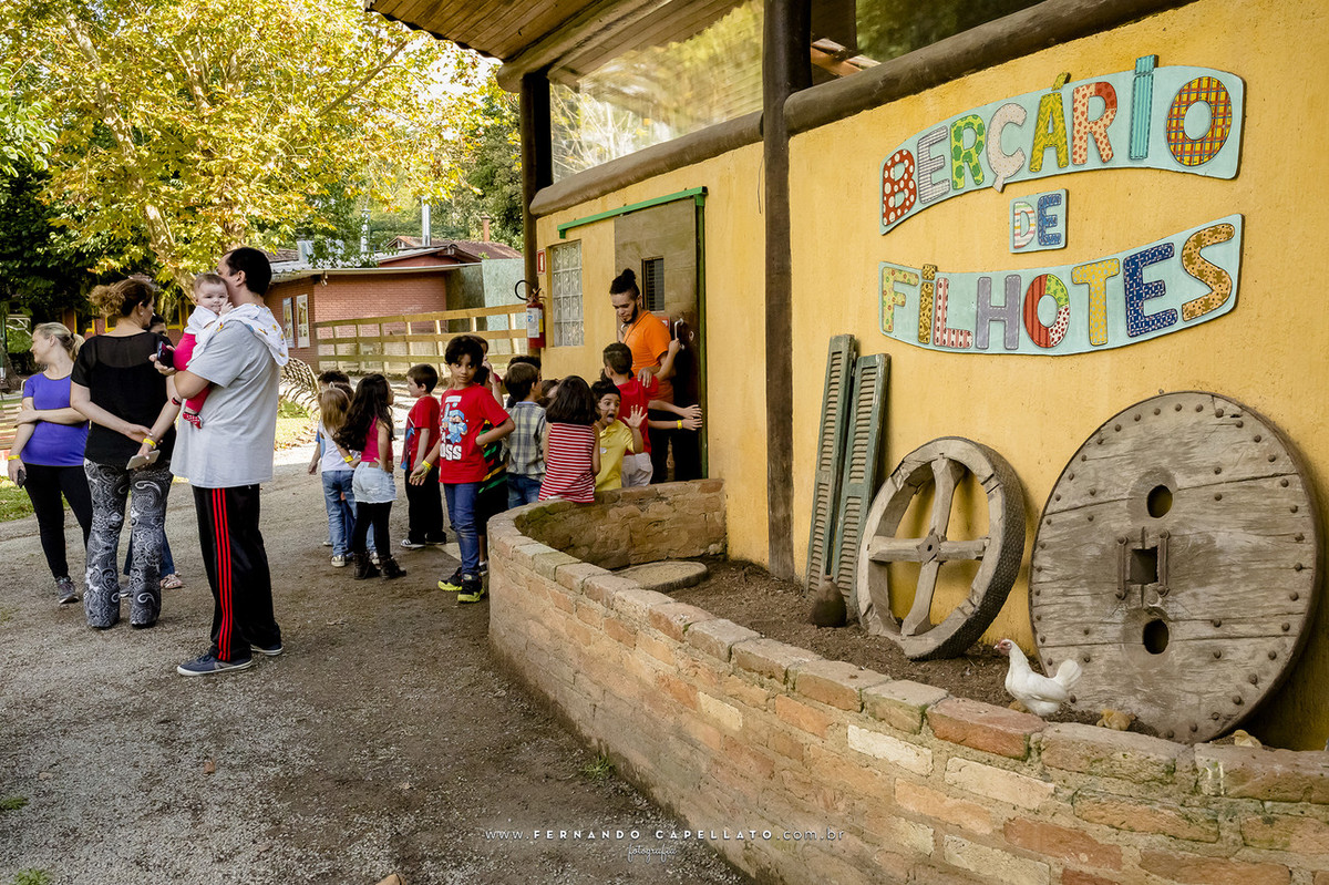 Aniversário infantil | Cia dos Bichos | 5 anos do Felipe