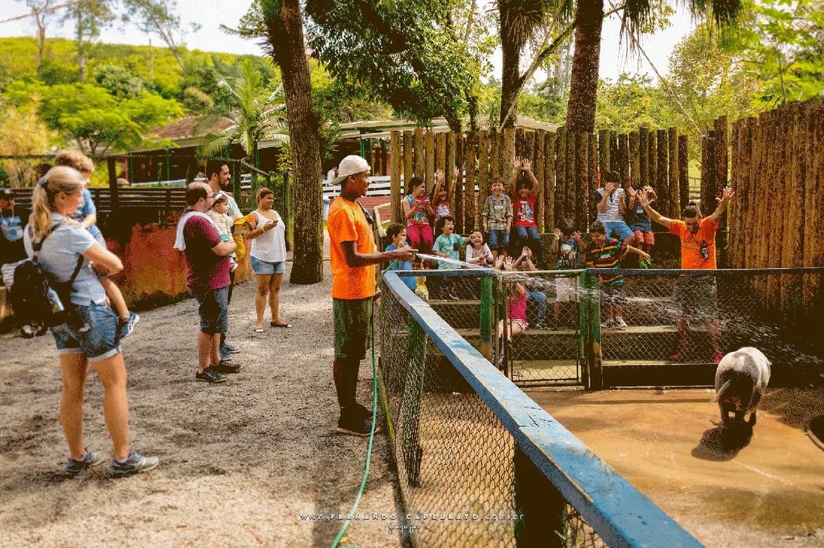 Aniversário infantil | Cia dos Bichos | 5 anos do Felipe