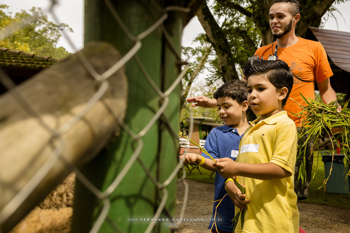 Aniversário infantil | Cia dos Bichos | 5 anos do Felipe