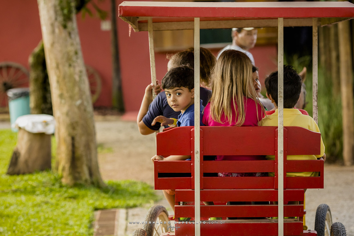 Aniversário infantil | Cia dos Bichos | 5 anos do Felipe