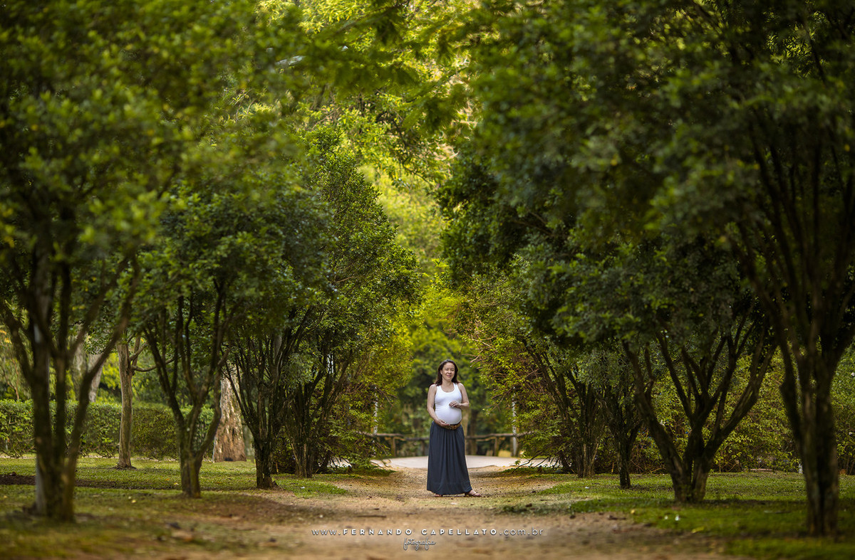 Ensaio de gestante | Dany e Waltinho (e Lucca)  | Esperando Sophia...