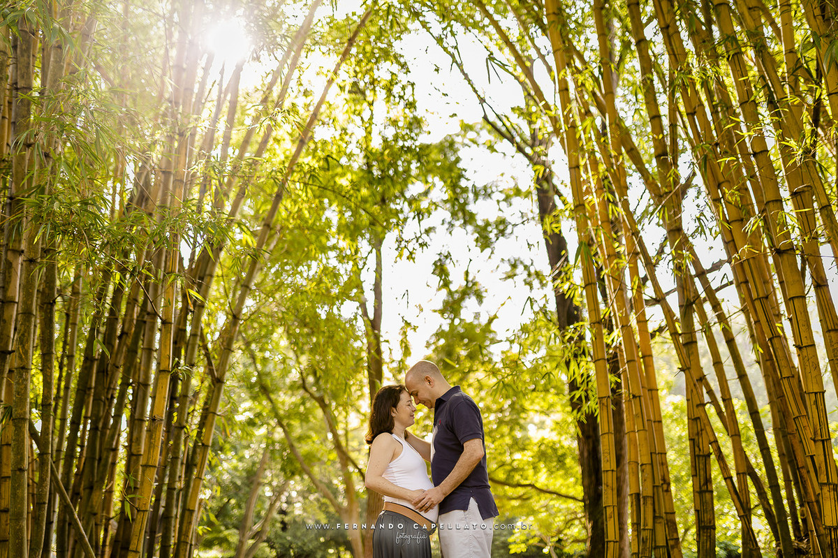 Ensaio de gestante | Dany e Waltinho (e Lucca)  | Esperando Sophia...