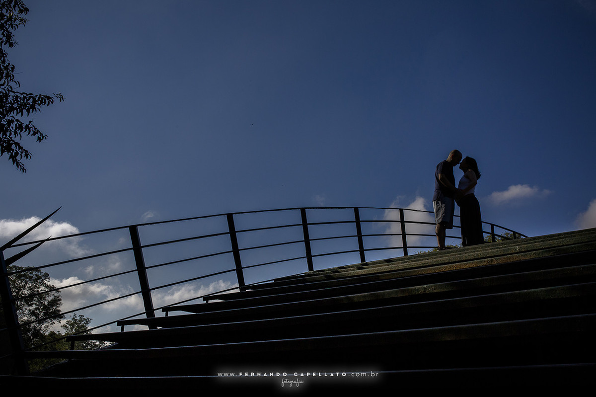 Ensaio de gestante | Dany e Waltinho (e Lucca)  | Esperando Sophia...