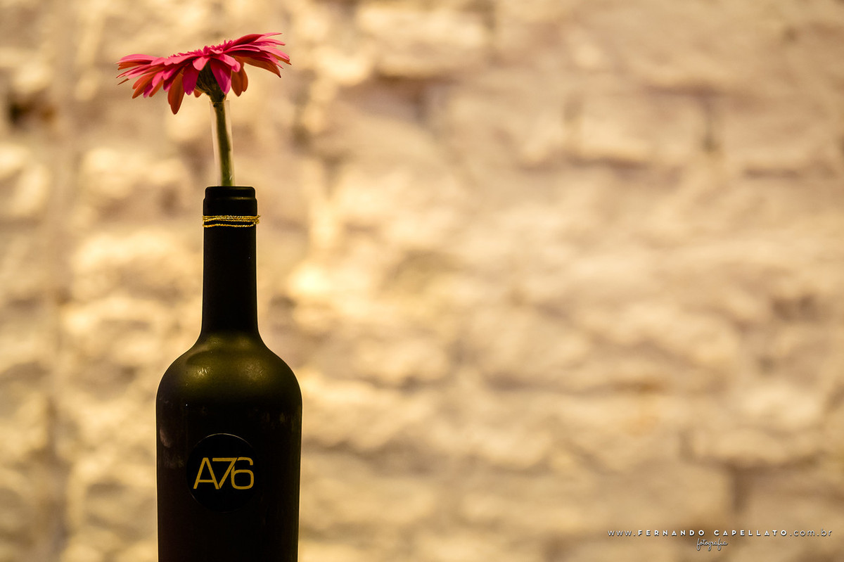 Aniversário adulto | Quintal da Bagunça | A76