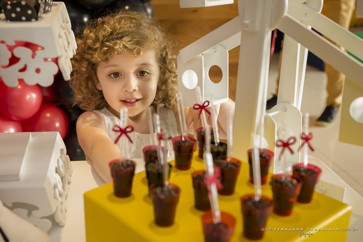 Aniversário infantil | Festa em casa | Caio e Gabi