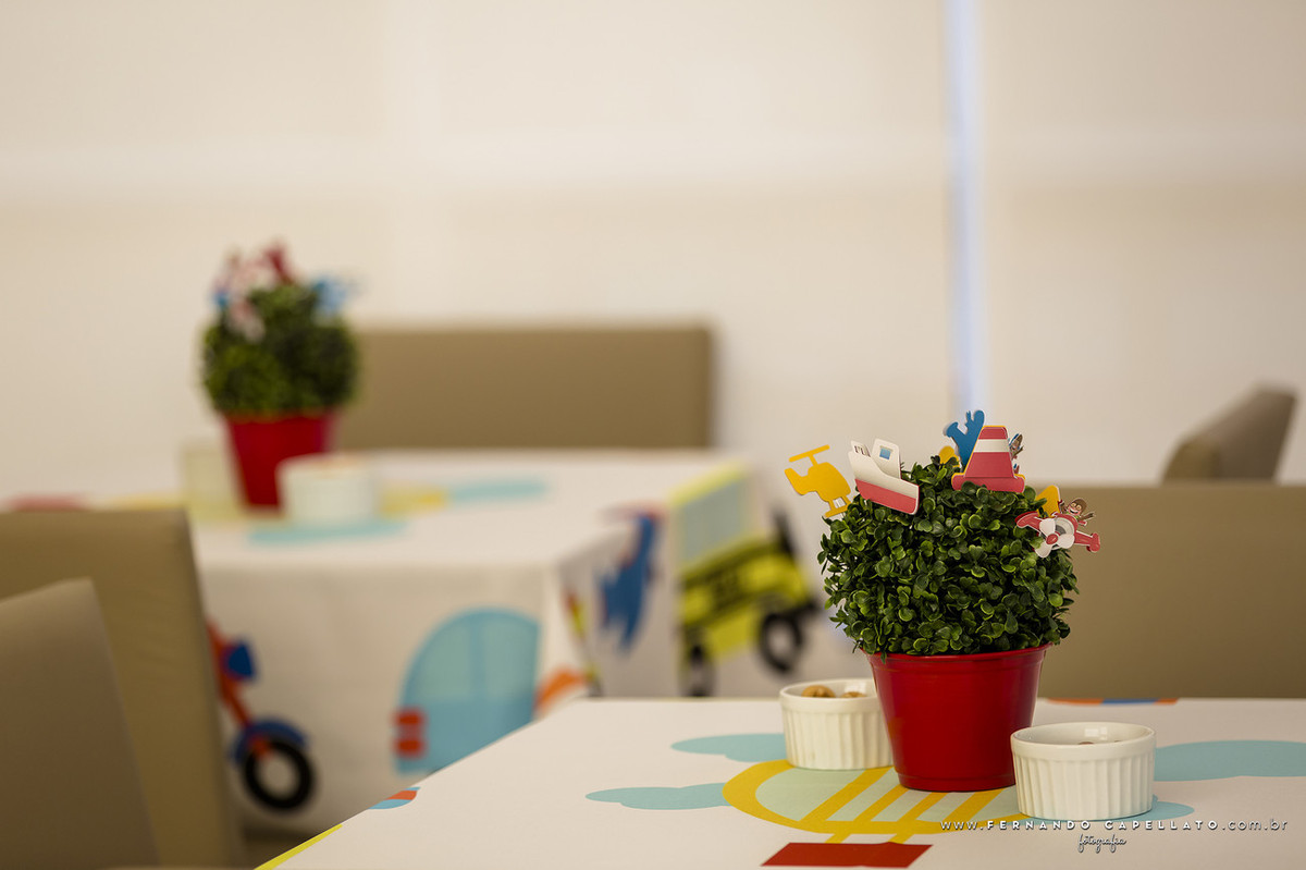 Aniversário infantil | Festa em casa | 2 anos do Bruno!