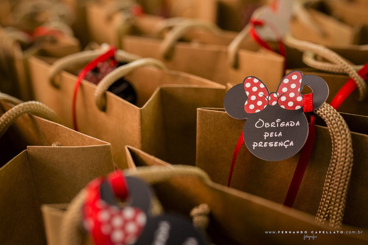 Aniversário infantil | Buffet Viva Vida | Laura e Clara