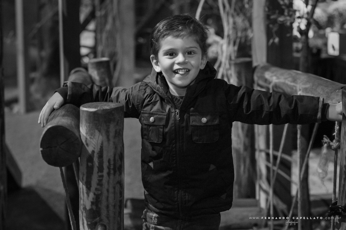 Aniversário infantil | Buffet Verde Quintal | Victor