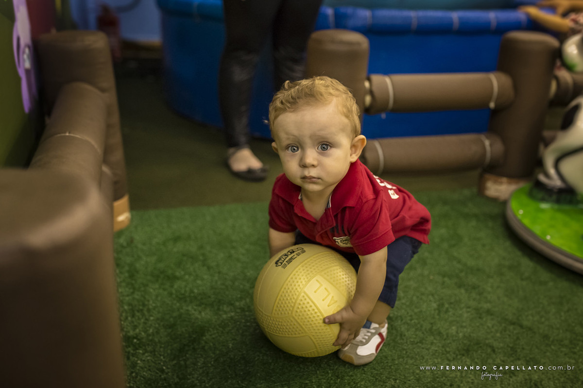 Aniversário infantil | Buffet Viva Vida Fazendinha | Arthur