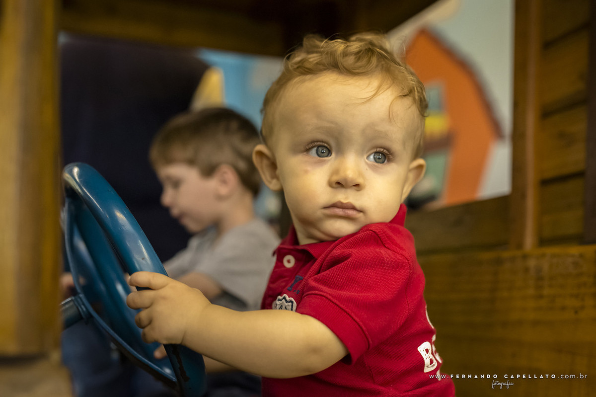 Aniversário infantil | Buffet Viva Vida Fazendinha | Arthur