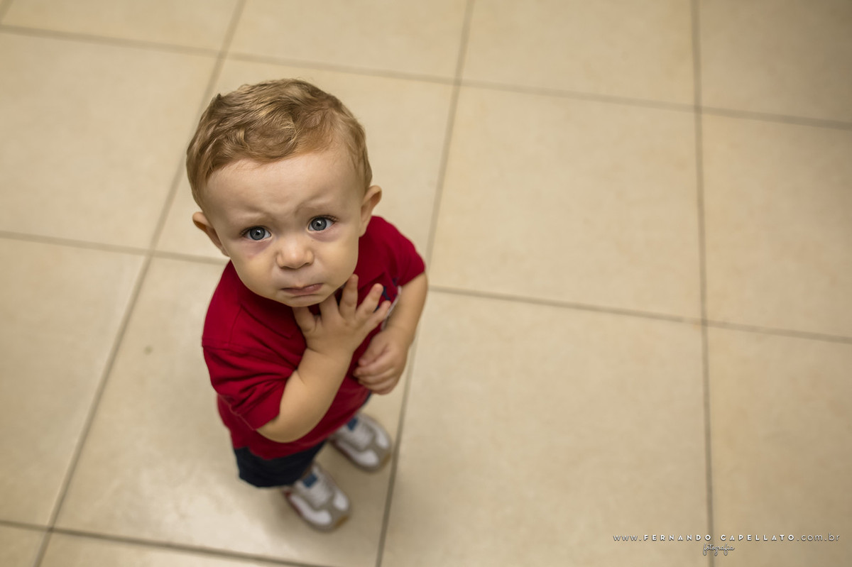 Aniversário infantil | Buffet Viva Vida Fazendinha | Arthur