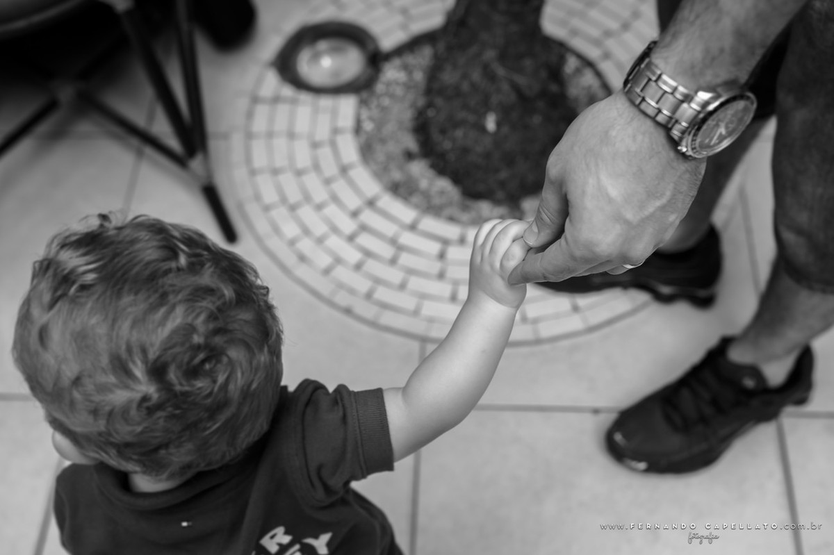 Aniversário infantil | Buffet Viva Vida Fazendinha | Arthur