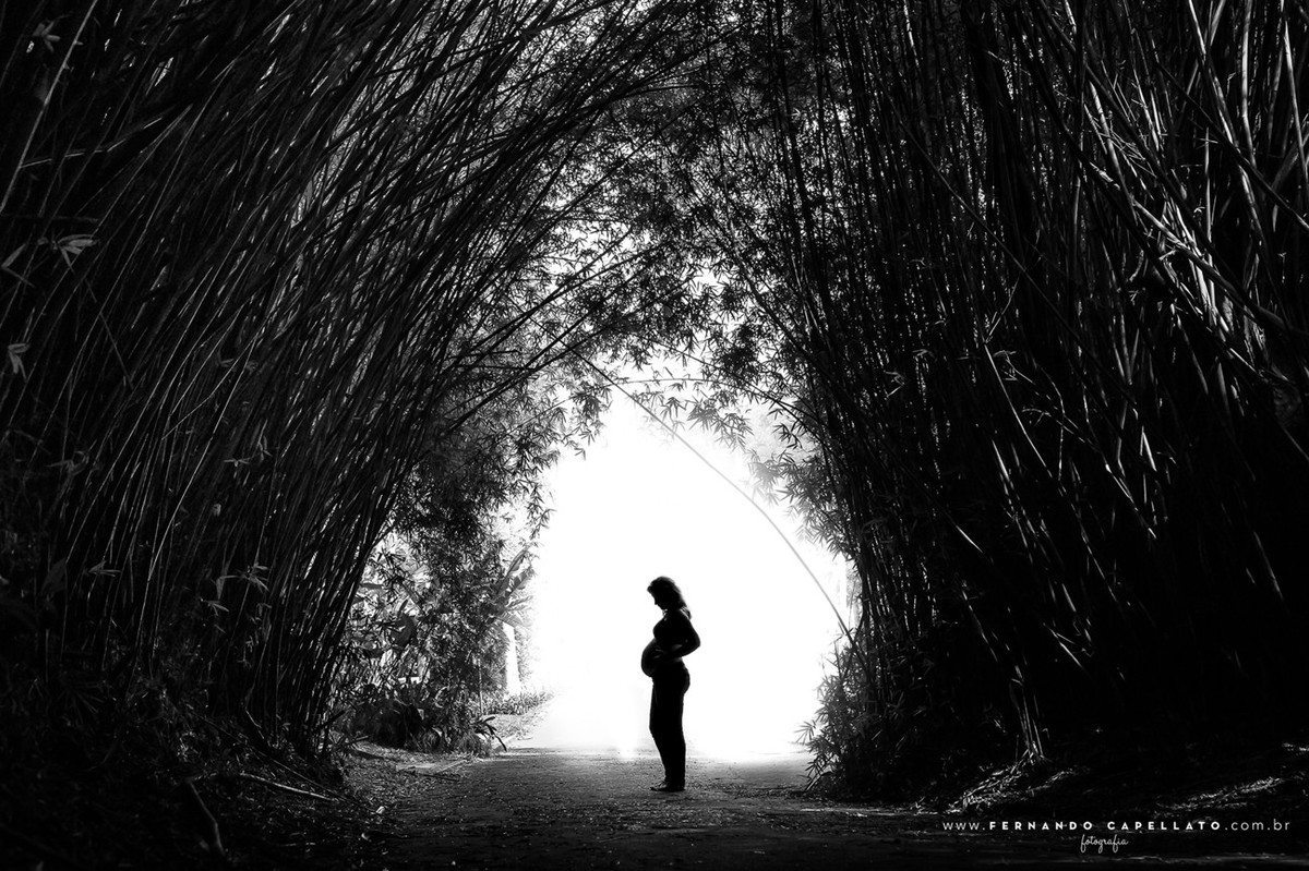 Ensaio de gestante | Jardim Botânico de São Paulo | Fabi e Marcos