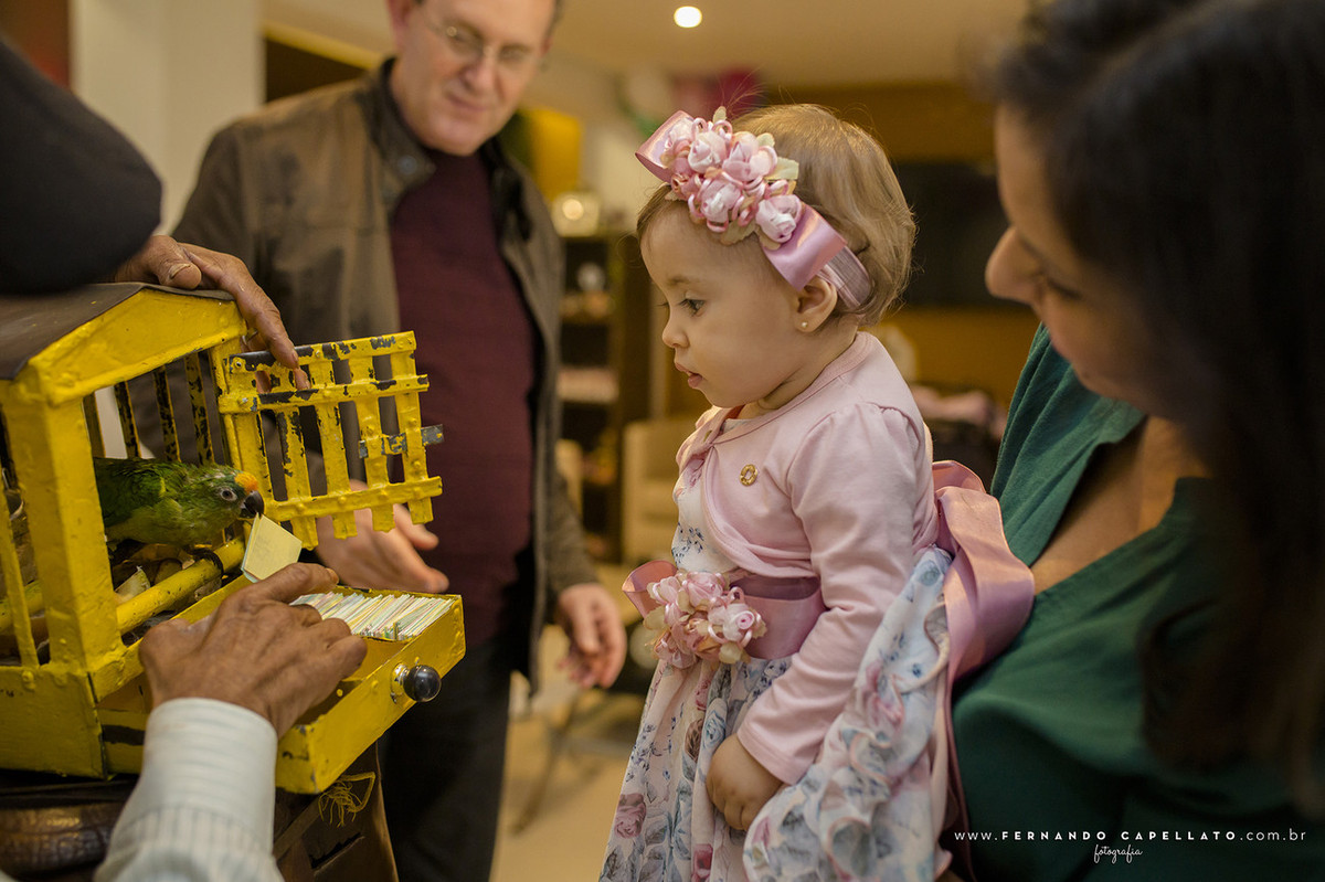 Aniversário infantil | Jardim da Laura | 1 aninho!