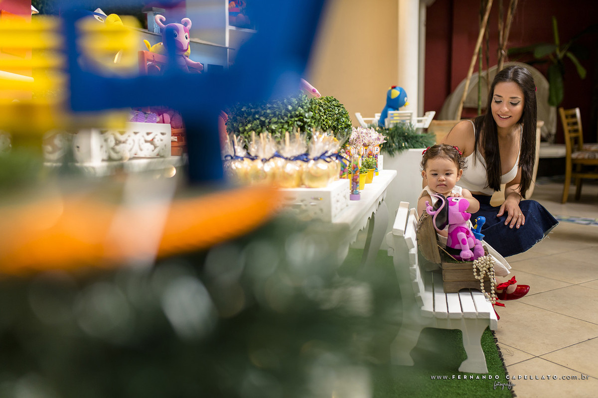 Aniversário infantil | Buffet Viva Vida | Heloísa | 1 Aninho!