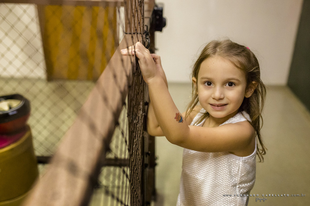 Aniversário infantil | Espaço Formigueiro | 5 anos da Sofia