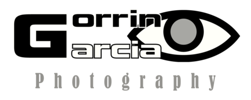 Logotipo de Francisco Gorrin Garcia