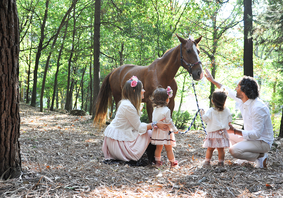 Família simples natureza