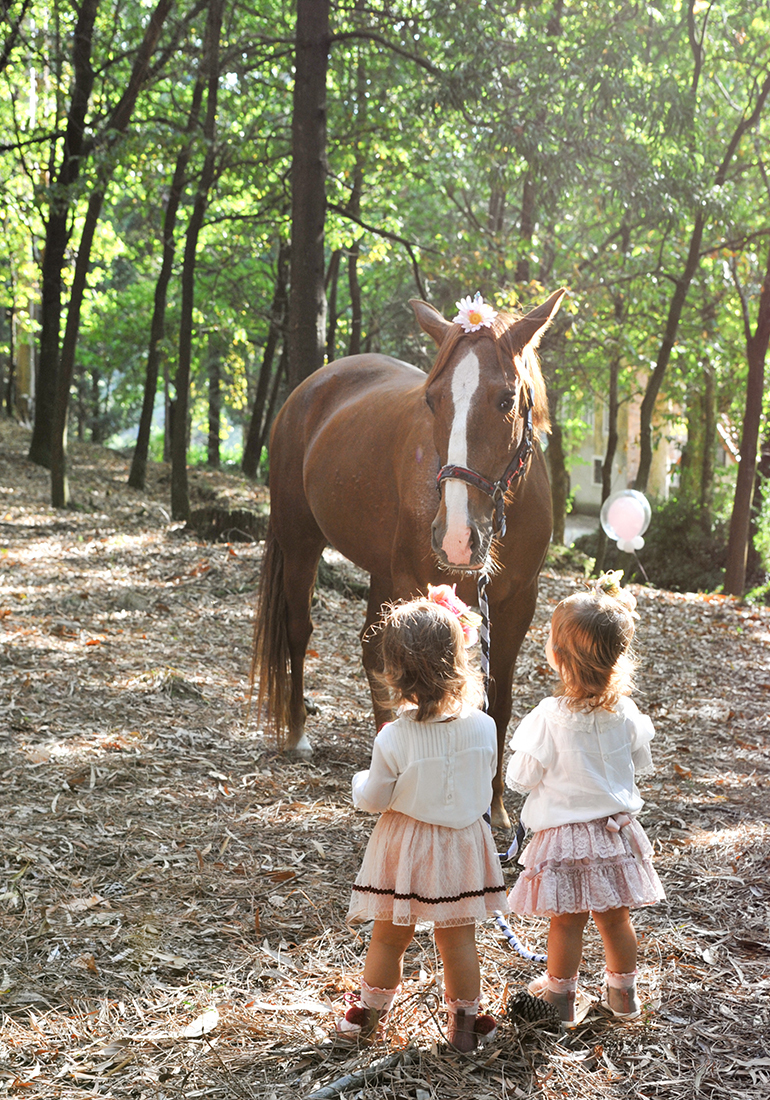 Meninas gémeas com cavalo