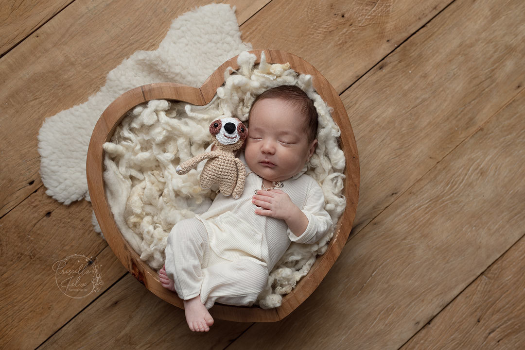 fotografia newborn com a enfermeira e fotografa eleita a melhor fotografa de SP