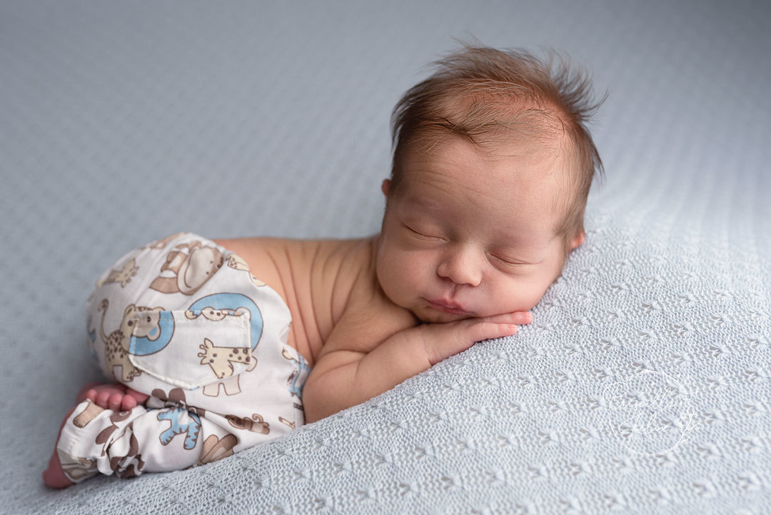 o Leonardo ficou tranquilo durante o ensaio newborn dele no estúdio da Priscilla Felix, enfermeira que atua exclusivamente na fotografia newborn há mais de 8 anos, com estúdio na VIla Leopoldina em São Paulo/SP