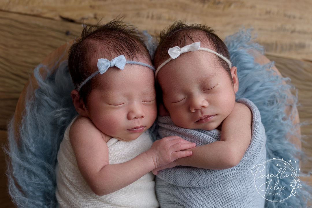 ensaio newborn de gemelares por Priscilla Felix fotografia
