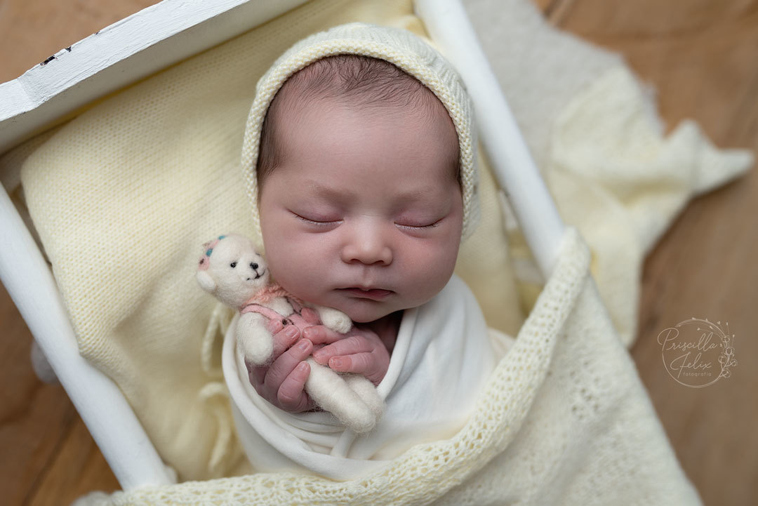 recem nascida dormindo tranquila no ensaio newborn quando ela tinha 14 dias de vida com a especialista em fotografia newborn Priscilla Felix em São Paulo