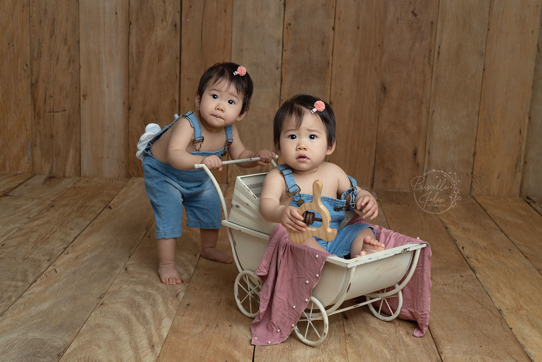 gêmeas posando durante ensaio de fotos com a tia Priscilla Felix
