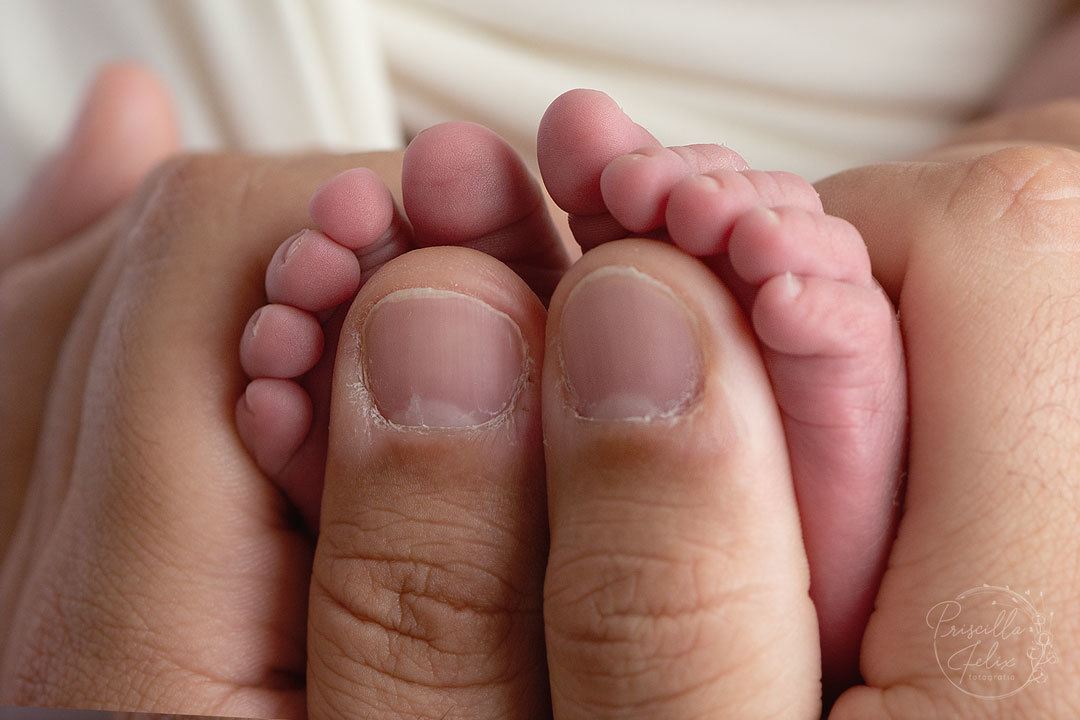 Newborn Filho de meu primo, minha prima é fotografia newborn da Luísa Vila Leopoldina, São Newborn Filho de meu primo, minha prima é fotografia newborn da Luísa Vila Leopoldina, São
