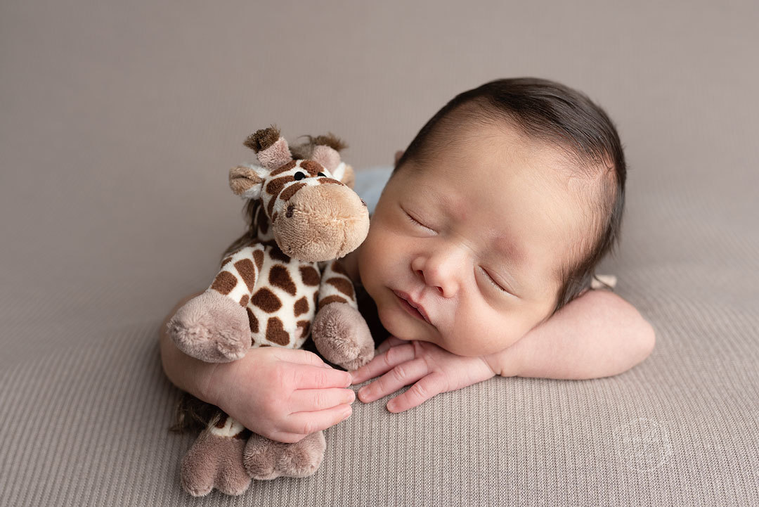 e essa girafinha que o Gui abraçou no ensaio newborn dele?