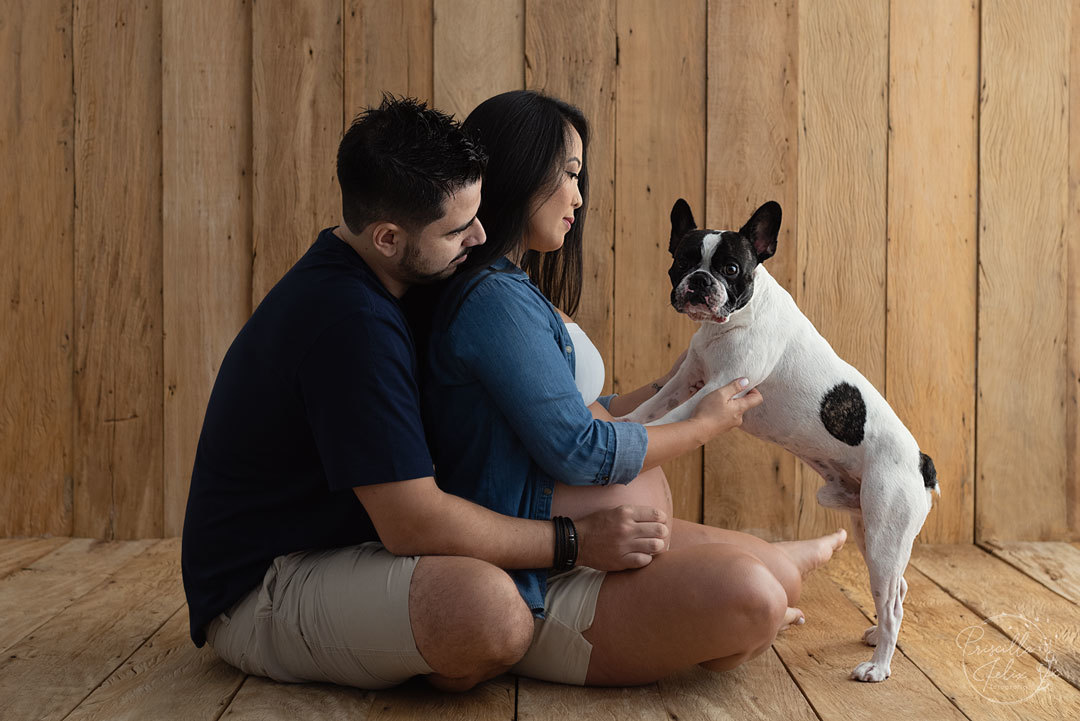 pet no ensaio gestante em estudio SP