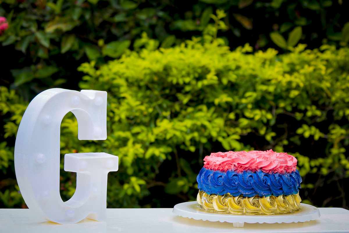 Ensaio Smash the Cake no Parque da Jaqueira - Fotógrafa Rebecca Torquato