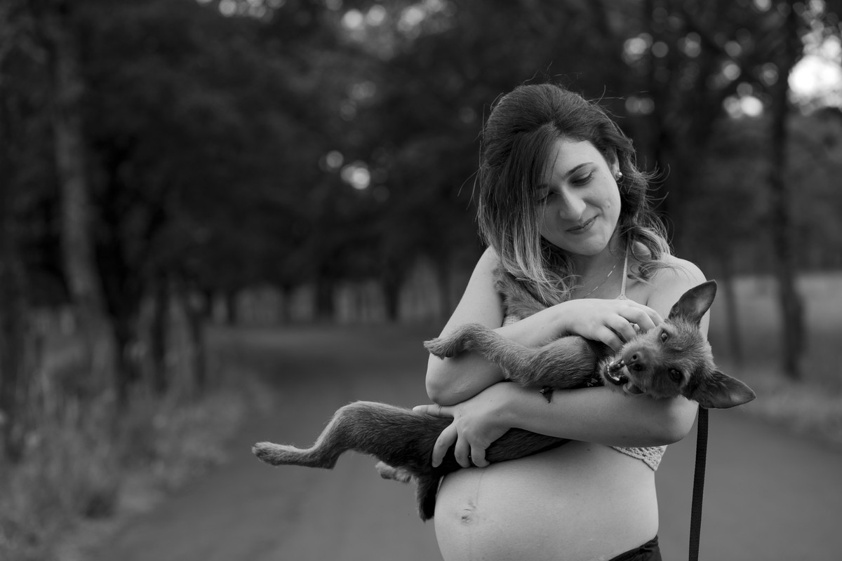 gravida, pet, estimação.