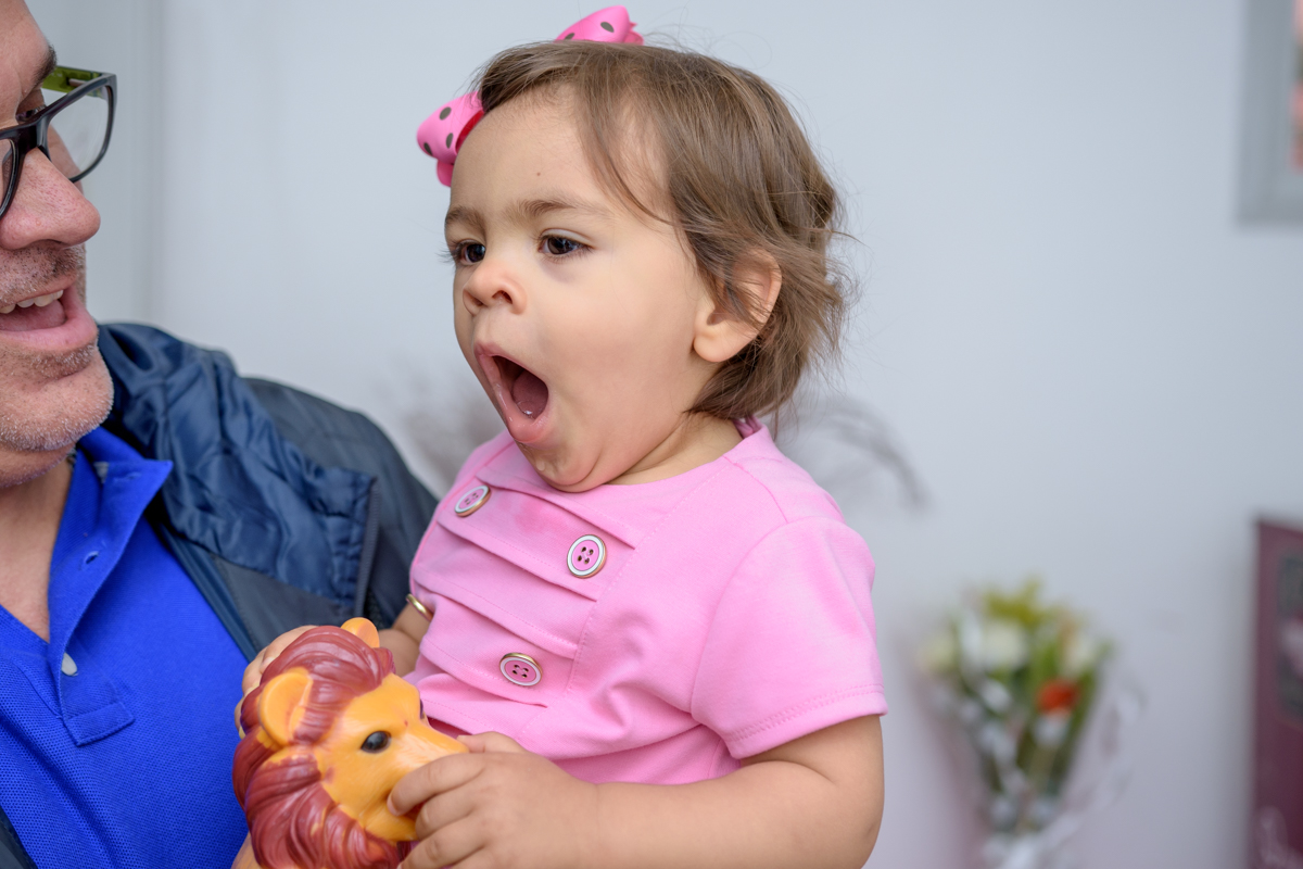 festa-infantil-rj-rio-de-janeiro-Maria Luiza-1ano-thiago-antunes-fotografo