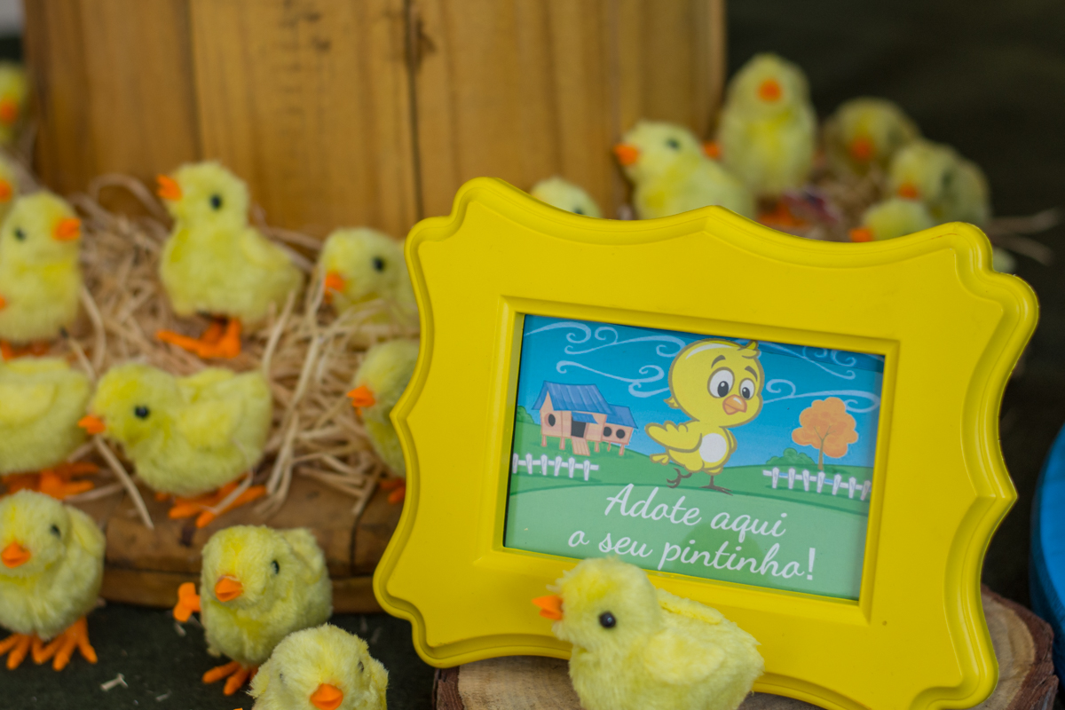 festa-infantil-rj-rio-de-janeiro-Maria Luiza-1ano-thiago-antunes-fotografo